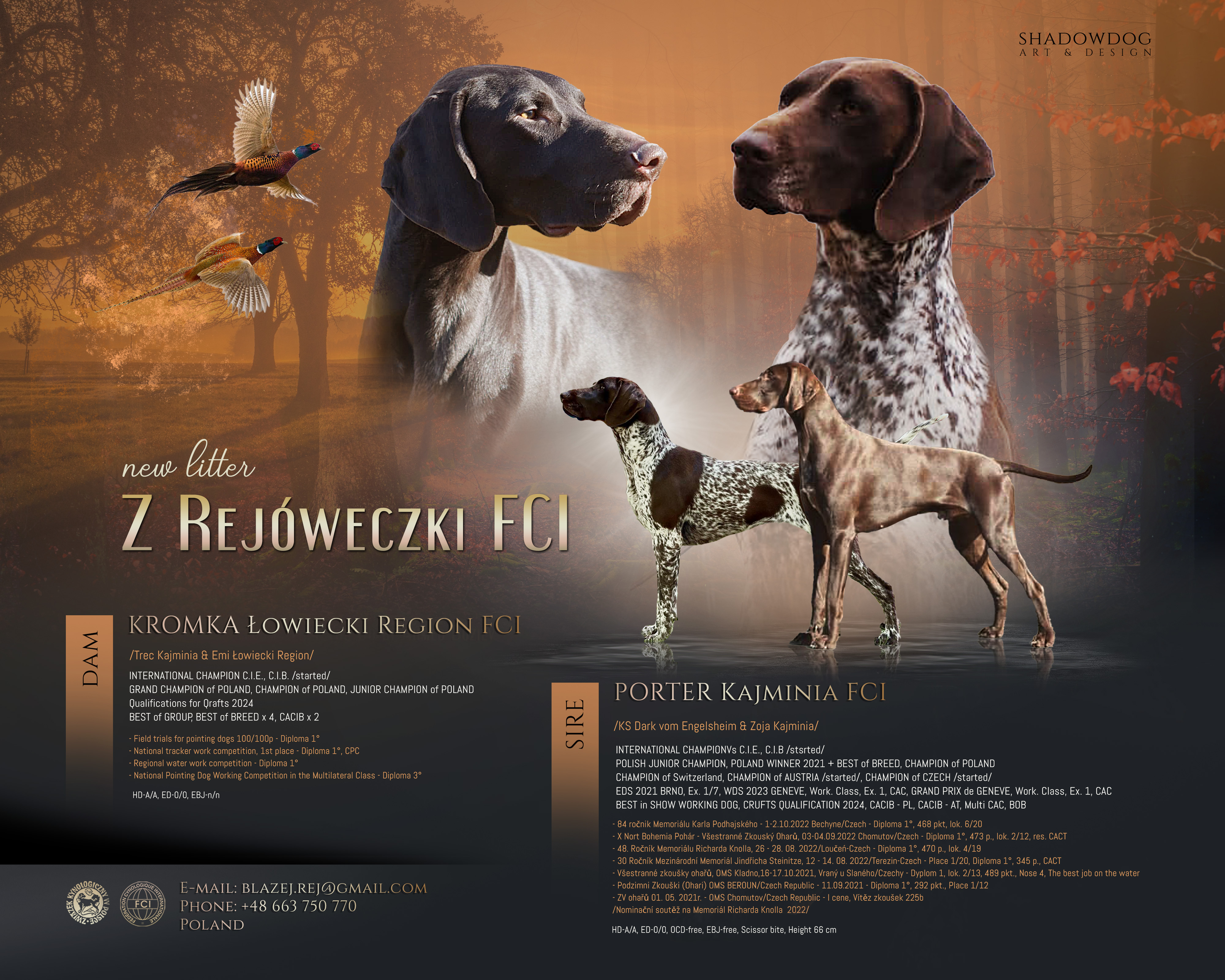 Hodowla psów myśliwskich fci lublin
