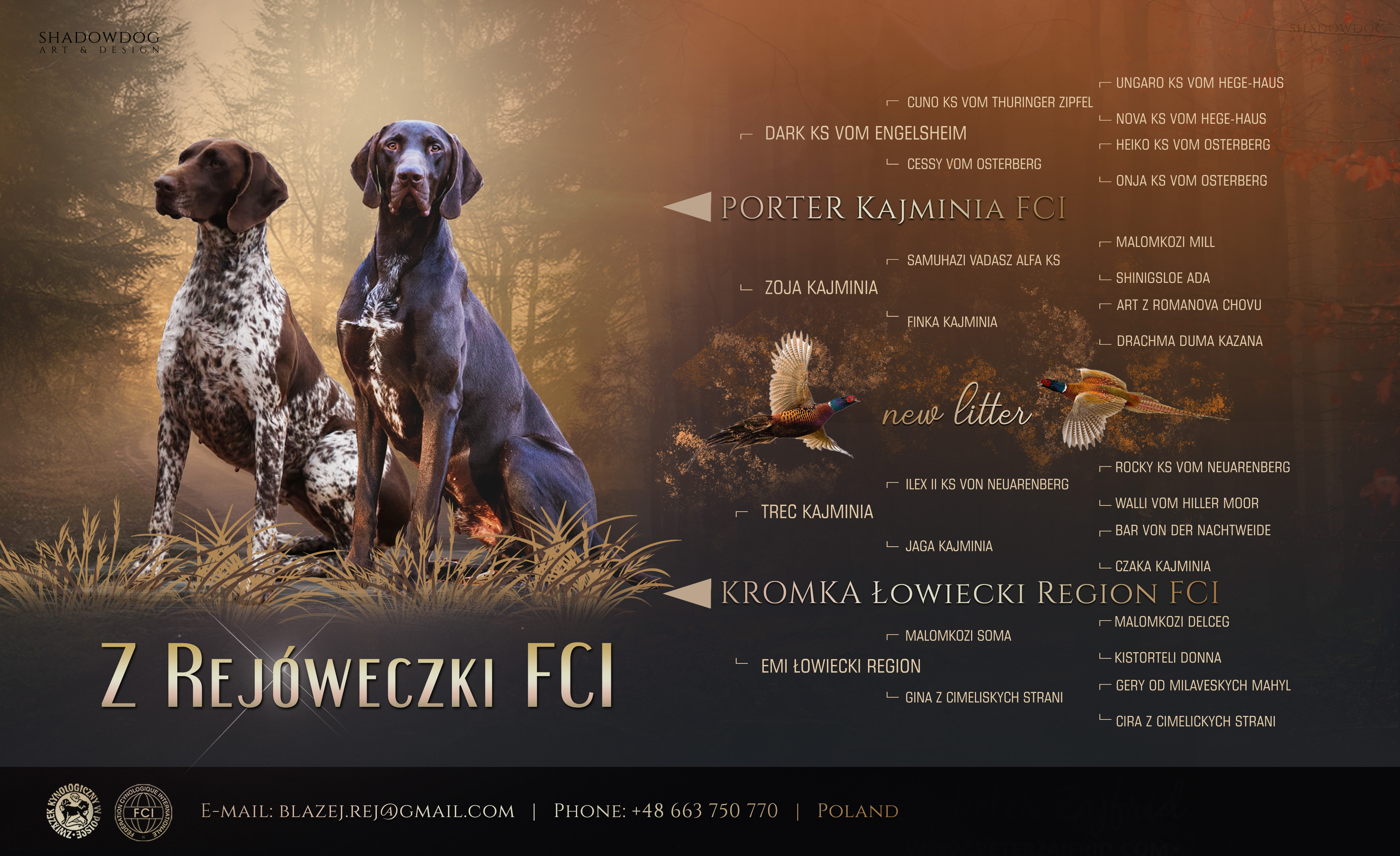 Psy myśliwskie do polowań lubelskie